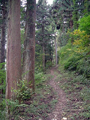 koutu57.jpg