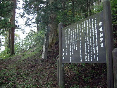 koutu58.jpg