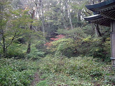 koutu65.jpg
