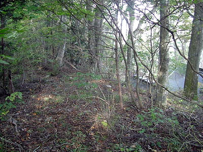 koutu68.jpg
