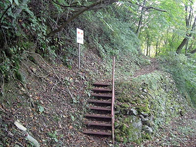koutu74.jpg