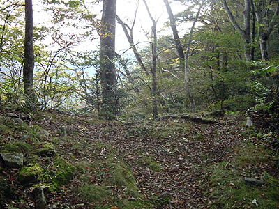 koutu76.jpg