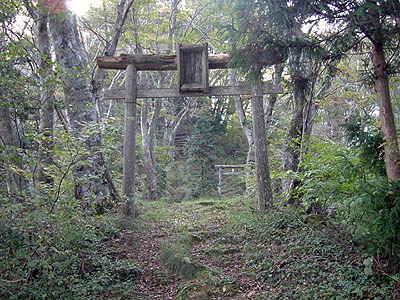 koutu77.jpg