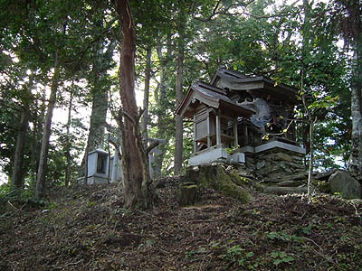 koutu79.jpg