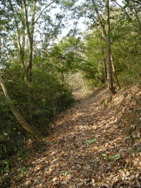 koutu04.jpg