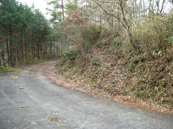 koutu08.jpg