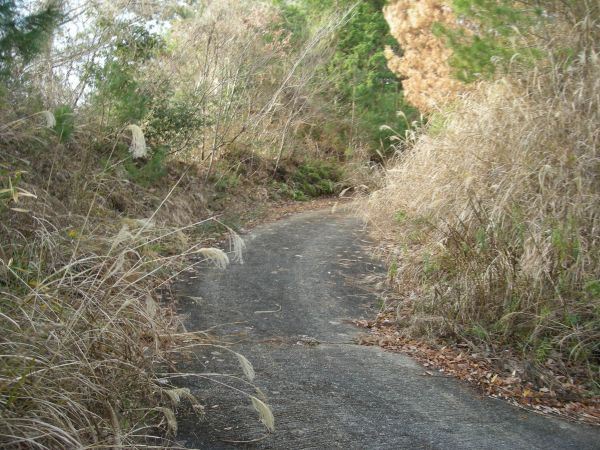 koutu09.jpg