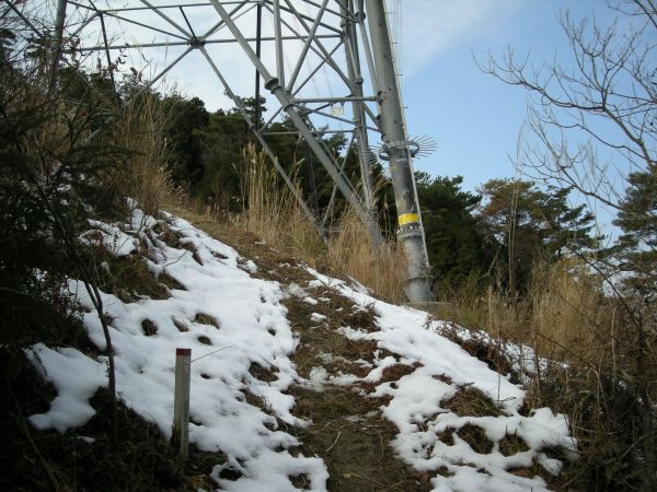 koutu20.jpg