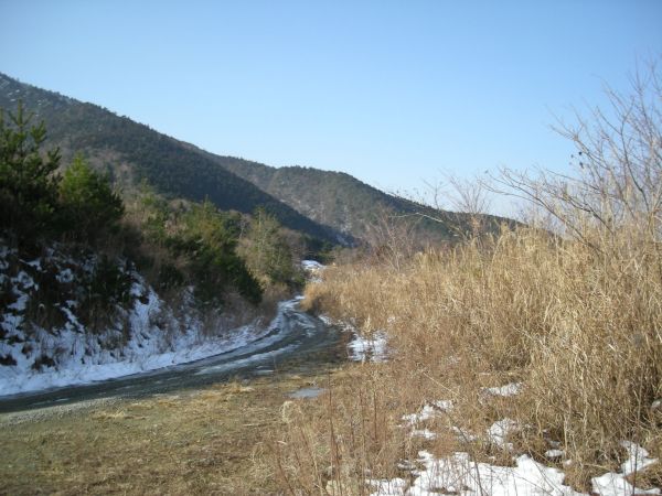koutu30.jpg
