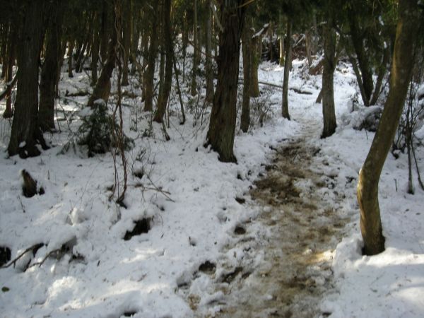 koutu39.jpg