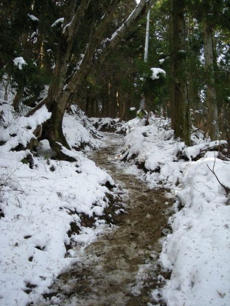 koutu40.jpg