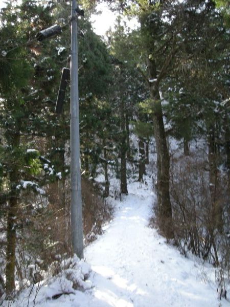 koutu41.jpg