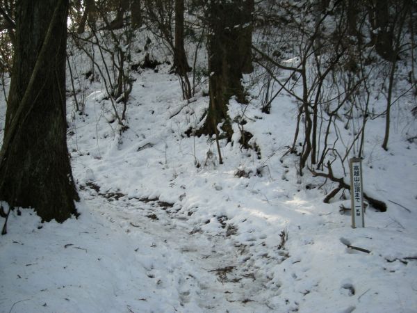 koutu42.jpg