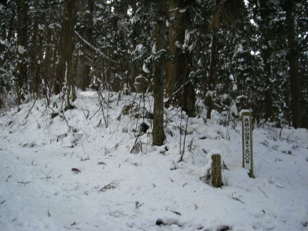 koutu45.jpg