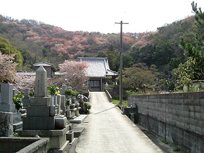 mitu05.jpg