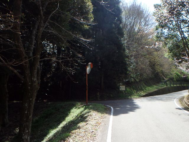 nisiryuu002.jpg