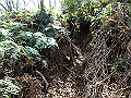 nisiryuu022_thumb.png
