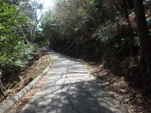 nisiryuu050.jpg