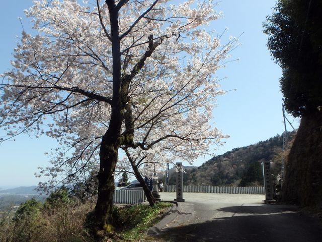 nisiryuu056.jpg