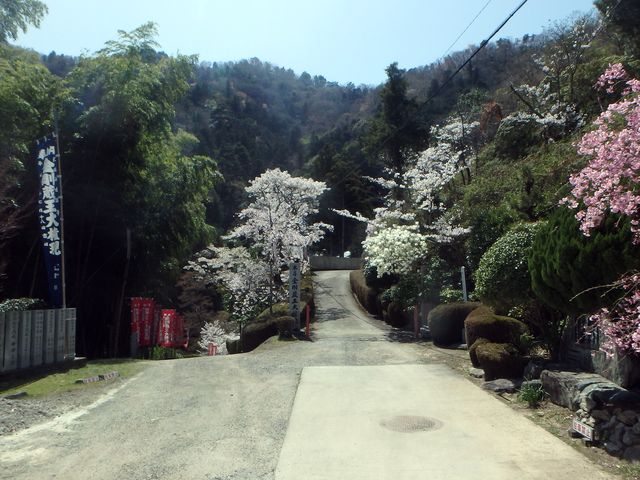 nisiryuu060.jpg