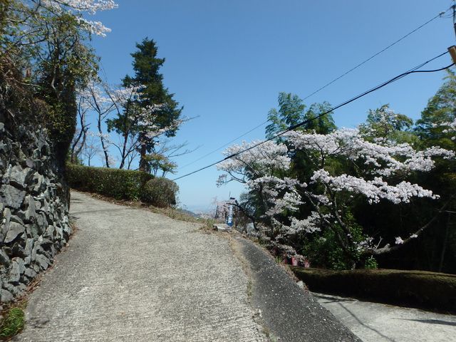 nisiryuu063.jpg