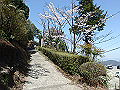 nisiryuu064_thumb.png