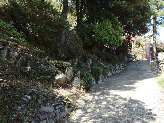 nisiryuu065.jpg