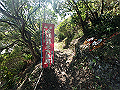 nisiryuu066_thumb.png