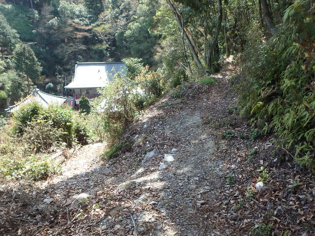 nisiryuu070.jpg