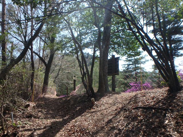 nisiryuu093.jpg