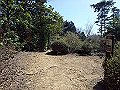 nisiryuu112_thumb.png