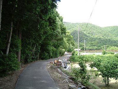 ooasa08.jpg