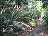 ooasa02_thumb.jpg