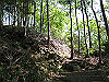 ooasa05_thumb.jpg