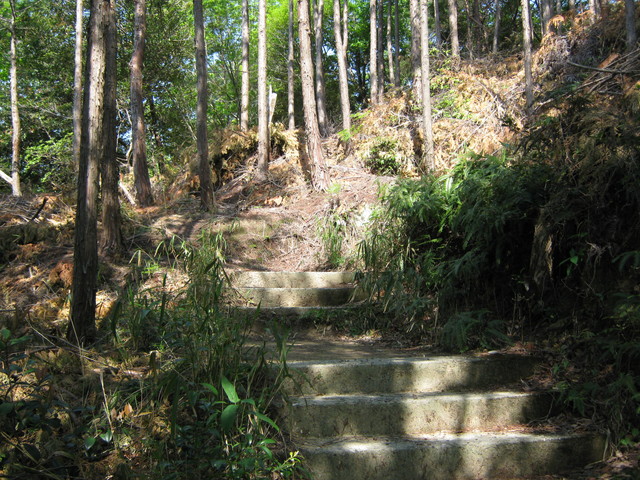 ooasa06.jpg