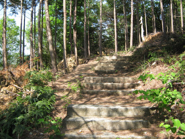 ooasa07.jpg