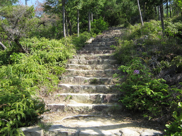 ooasa08.jpg