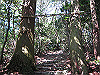 ooasa35_thumb.jpg