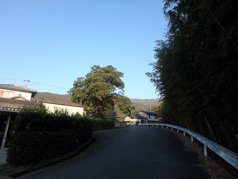 ooyama03.jpg