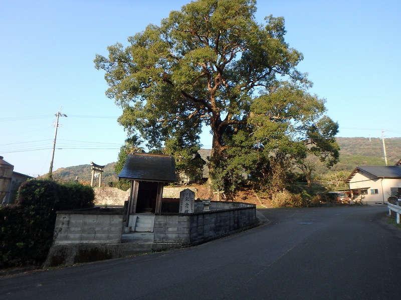 ooyama04.jpg