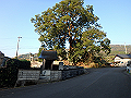 ooyama04_thumb.png