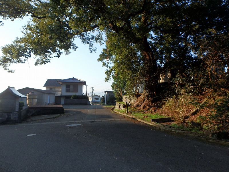 ooyama05.jpg