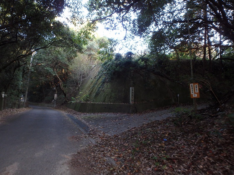 ooyama08.jpg