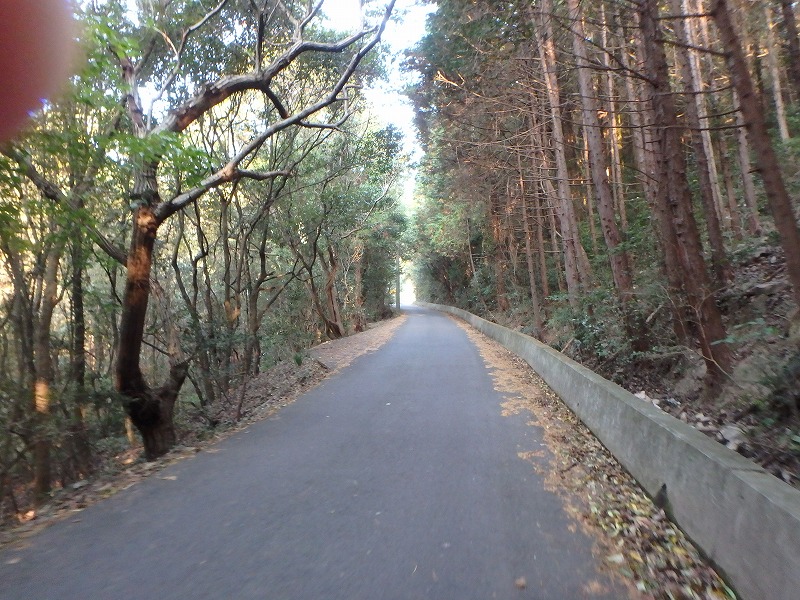 ooyama09.jpg
