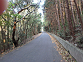 ooyama09_thumb.png