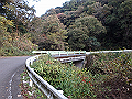 ooyama11_thumb.png