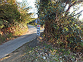 ooyama18_thumb.png
