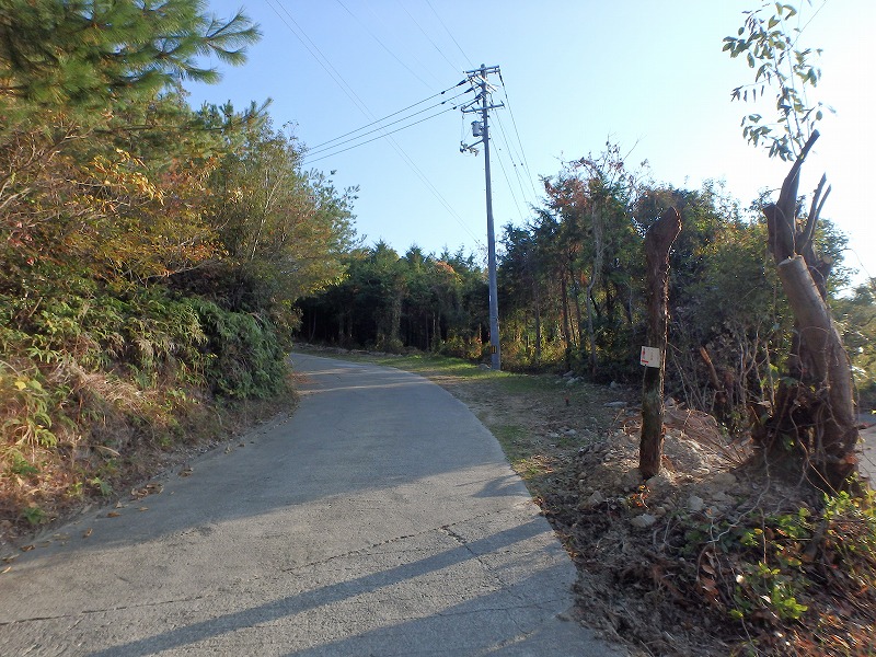 ooyama19.jpg