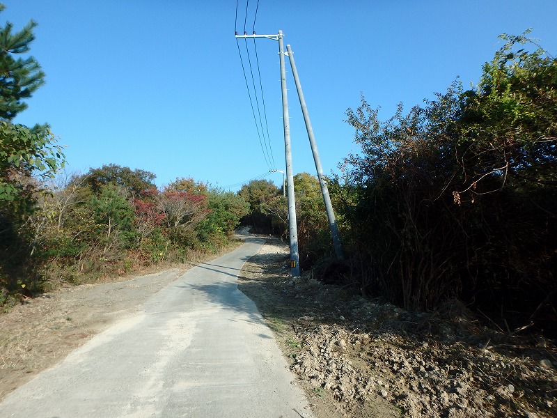 ooyama20.jpg