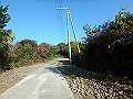 ooyama20_thumb.png